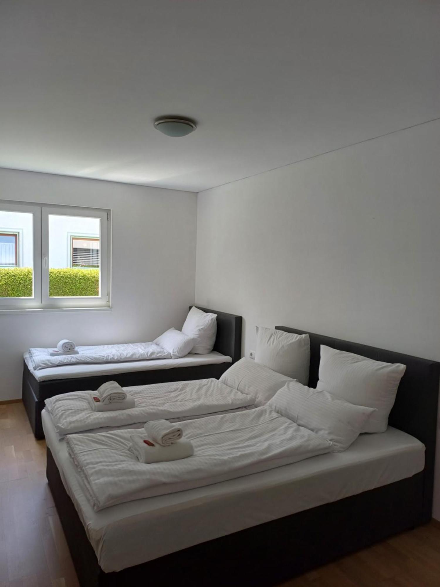 Crown Living Design Apartment - Gratis Parkplatz - Wlan - Kueche - Self Check-In Altach Zewnętrze zdjęcie